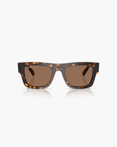 RAY-BAN - F61373