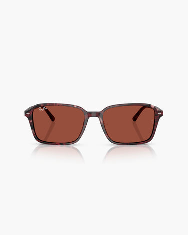 RAY BAN RB2231 - 1416C5 RAIMOND