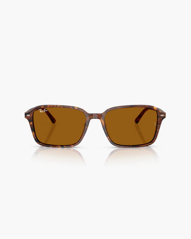 RAY-BAN RB2231 - 141833 RAIMOND
