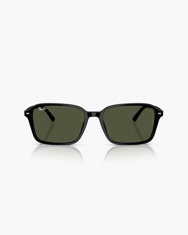 RAY-BAN RB2231 - 901/31 RAIMOND