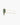 RAY BAN RB3597 - 905071  WINGS