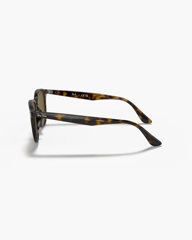 RAY-BAN RB4259F - 710/73