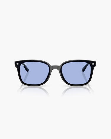 RAY-BAN RB4461D - 601/80
