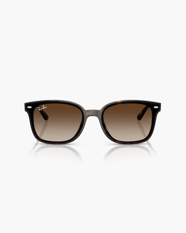 RAY-BAN RB4461D - 710/13
