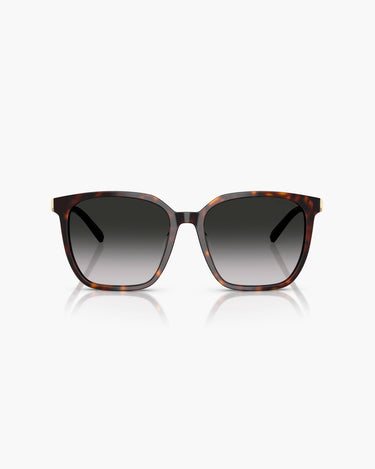 TIFFANY TF4244D - 80153C
