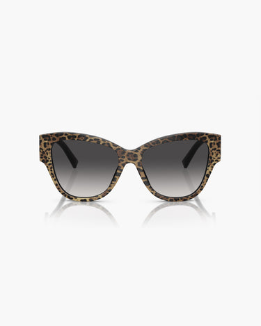 DOLCE & GABBANA DG4449 - 31638G