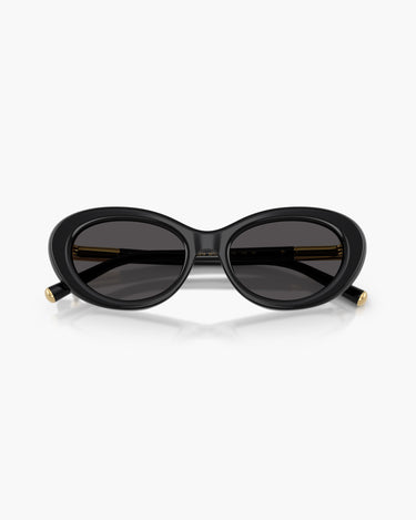 DOLCE & GABBANA DG4519 - 501/87