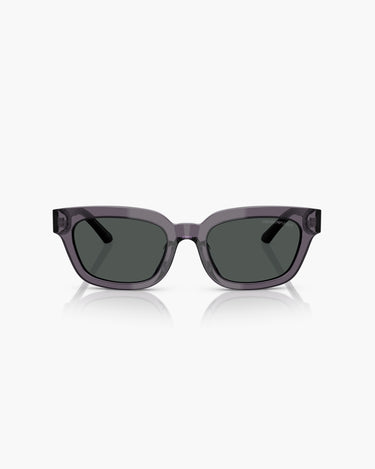 EMPORIO ARMANI EA4233U - 610687