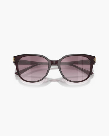 Jimmy Choo - 50866X