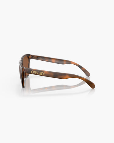 OAKLEY OO9013 - 9013C5  FROGSKINS