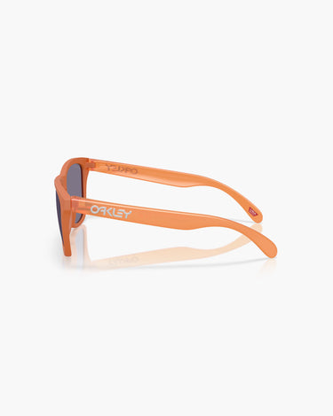 OAKLEY OO9013 - 9013M1  FROGSKINS