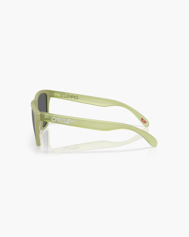 OAKLEY OO9013 - 9013M2  FROGSKINS