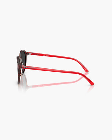 RAY-BAN RB2230 - 141948  BERNARD