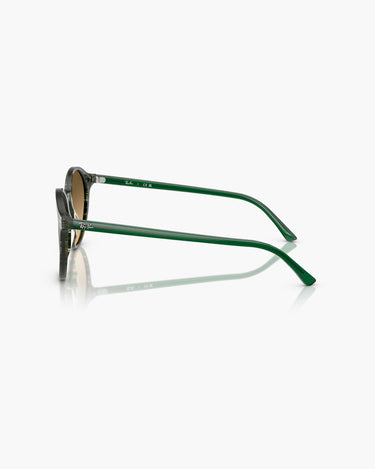 RAY-BAN RB2230 - 14210A  BERNARD