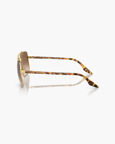 RAY-BAN RB3699 - 001/51