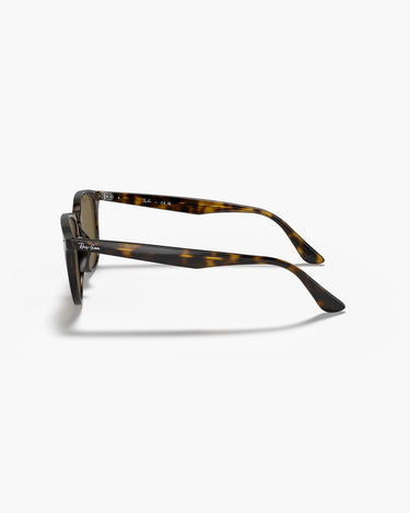 RAY-BAN RB4259 - 710/73