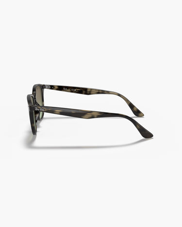 RAY-BAN RB4259 - 731/E8