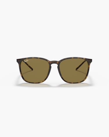 RAY-BAN RB4387 - 710/73