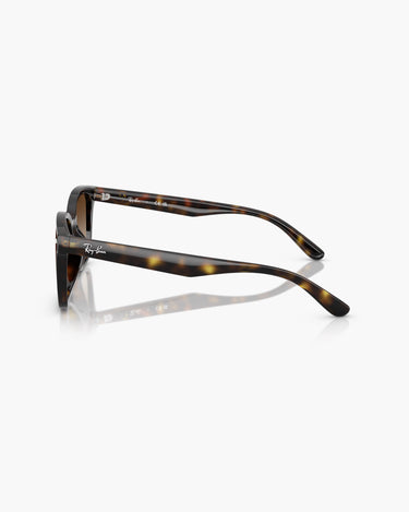 RAY-BAN RB4461D - 710/13