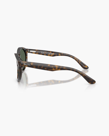 RAY-BAN RBR0505S - 6790VR